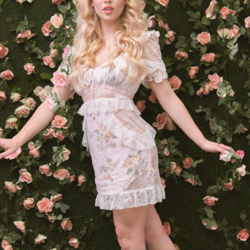 For Love & Lemons Nola Lace Mini Dress - Picture 3 of 12